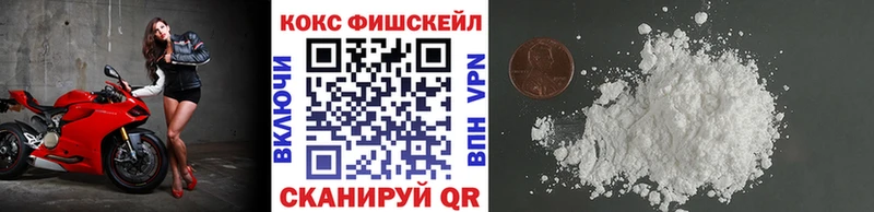 сколько стоит  площадка формула  Кокаин VHQ  Жиздра 